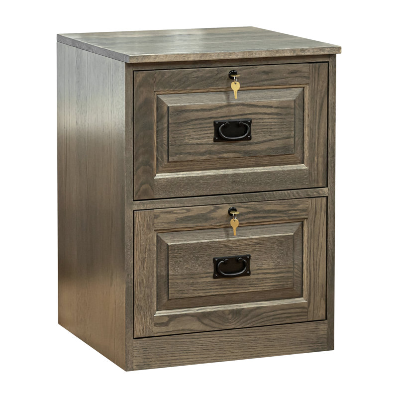 Loon Peak Chaunda 2 Drawer Vertical Filing Cabinet Wayfair
